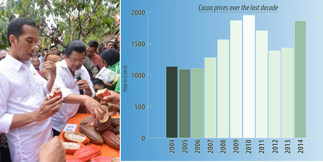 Kakao Dunia Harganya Melambung (Peluang Indonesia Rebut Pasar?)